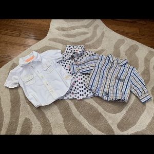 3 Baby Buttondowns
